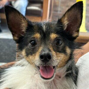 Meet your Posher, Raul